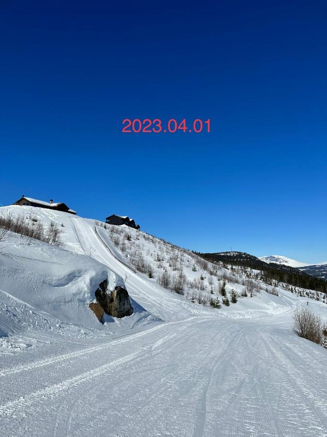 Perfect Moutain Getaway! Beautiful Apartment At Skagahogdi With Panoramic View Gol Extérieur photo